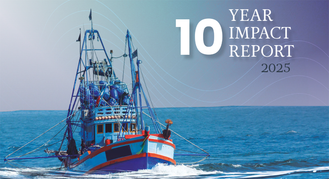 Cropped 10 Year Impact Cover.png