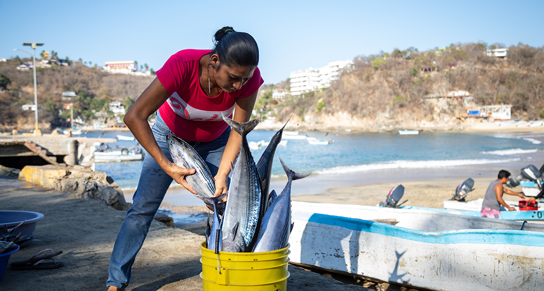 woman-processing-fish.png