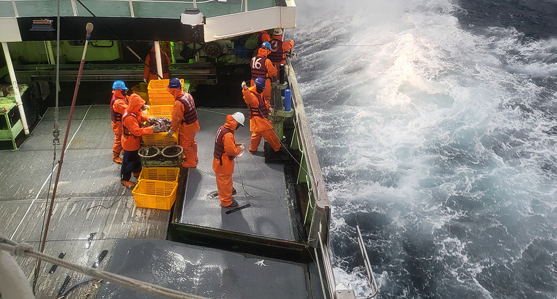 Korean Tuna Roundtable Advances Sustainable Fisheries Priorities Ahead of Critical Reassessments