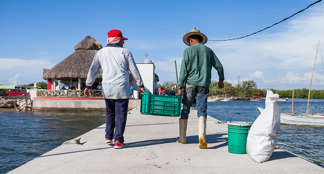 latin-america-dock-workers.png