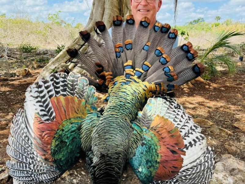 Ocellated Turkey Hunts