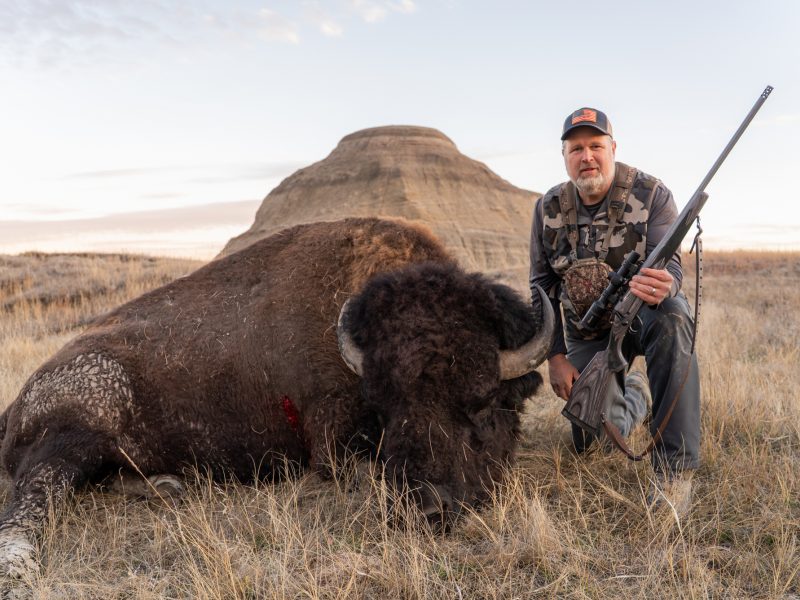 Bison Hunting