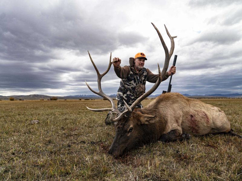 WESTERN WYOMING BIG GAME HUNTS