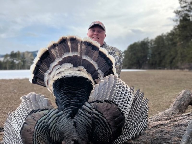 Wyoming Merriam's Turkey Hunts