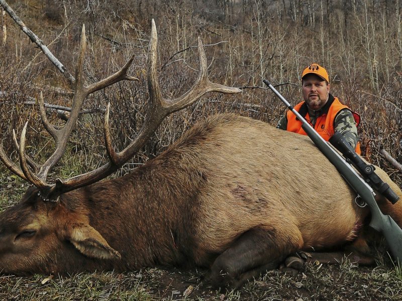 Utah CWMU Private Lands Elk Hunts
