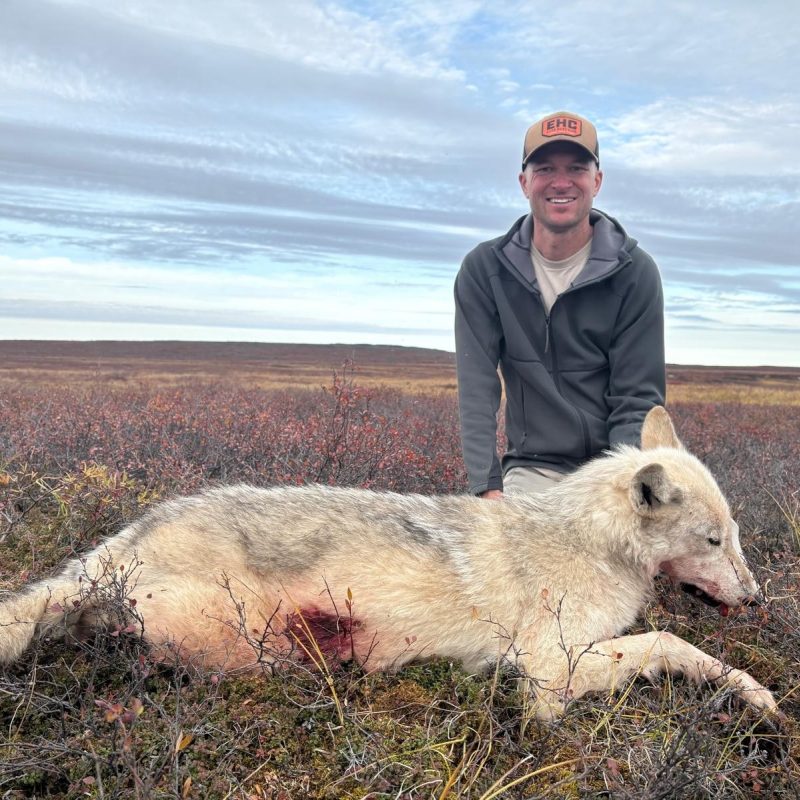 2132cc0f 4ada 4e72 a725 b68f08f901a9