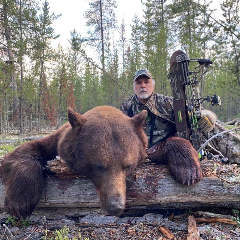 2ab44374 04bf 4244 821d 34fb5be3a7e3