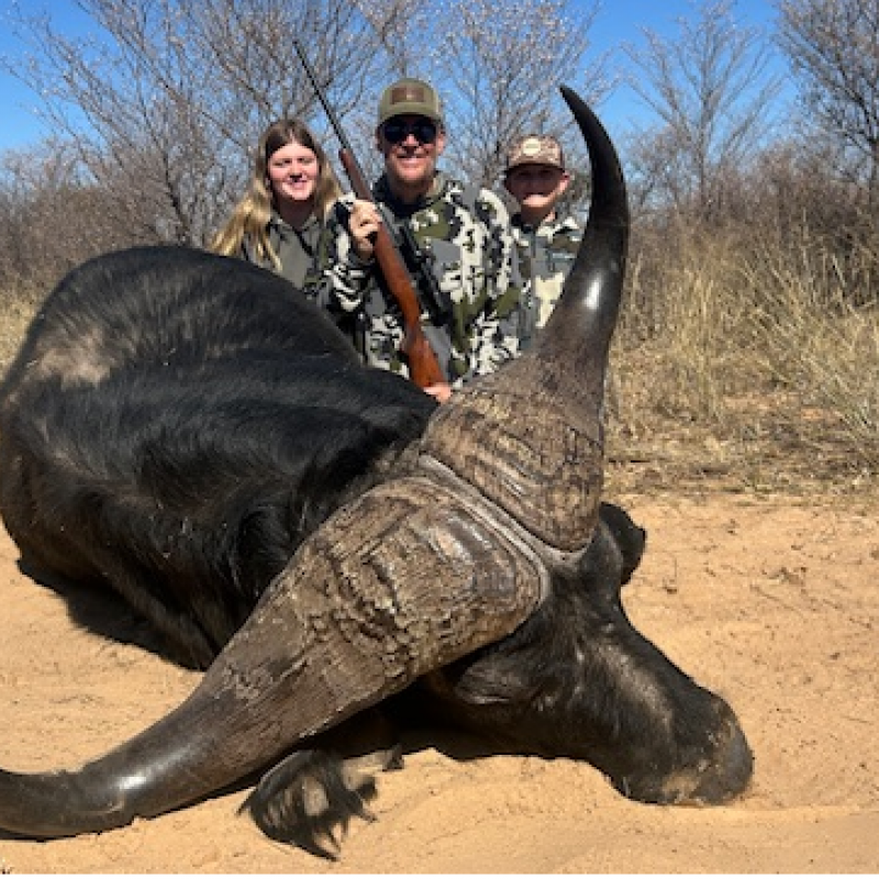 Cape Buffalo