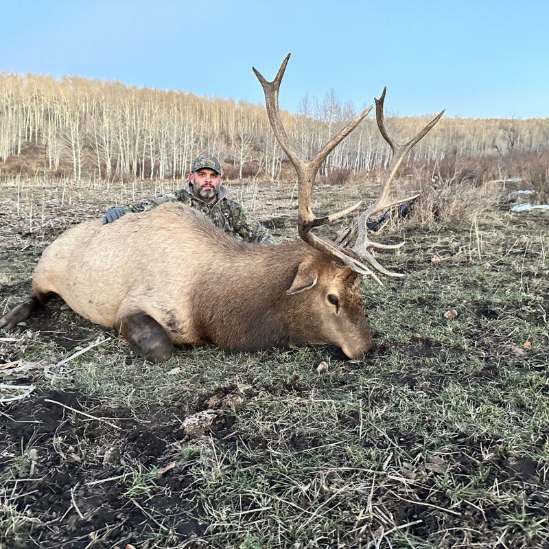 Drew Cashion Nov 2 South Fork Elk