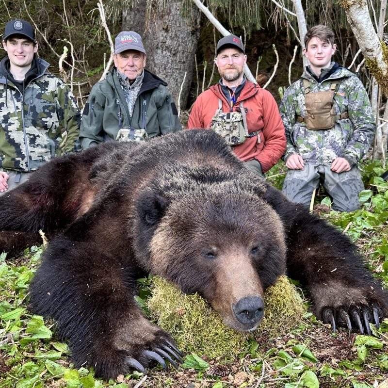 James Bailey Brown Bear
