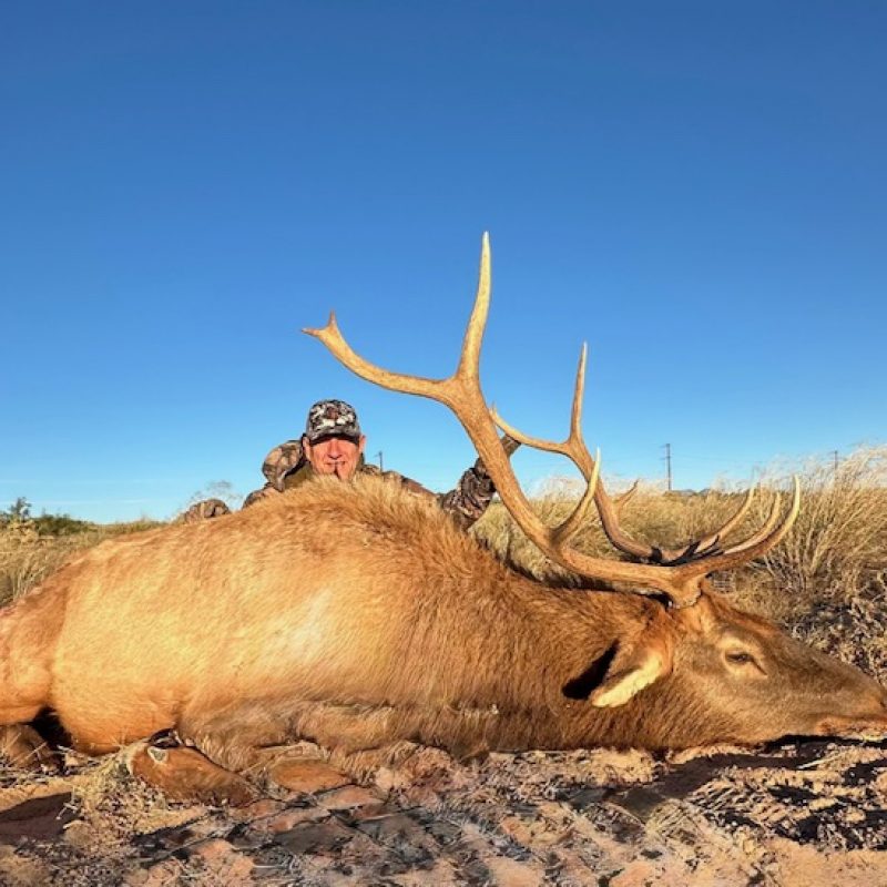 James Weldon 6x6 Horizontal