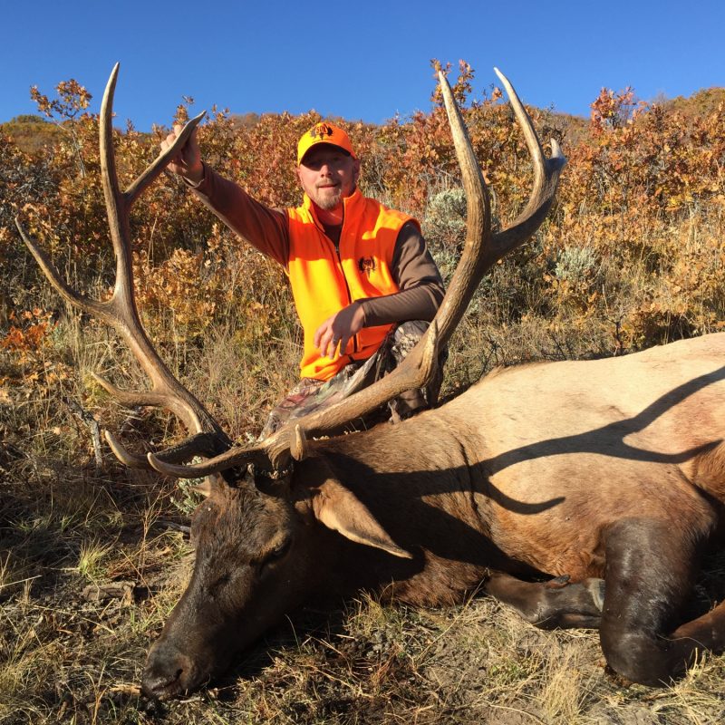 Jason Reese Elk 4