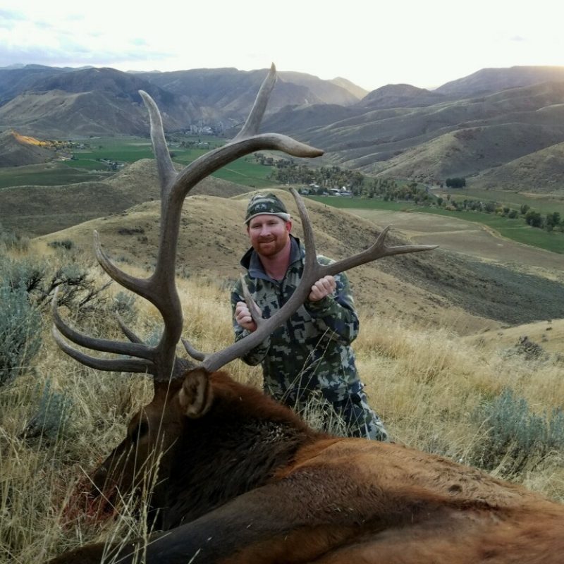 Kevin Kemp Elk 1