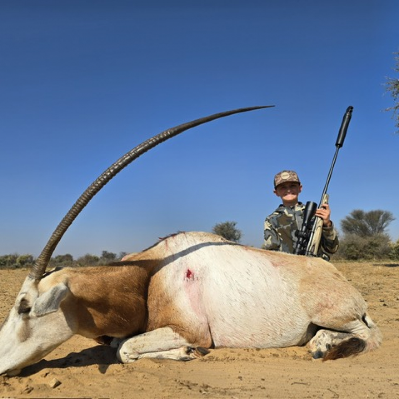 Luca Scimitar Oryx