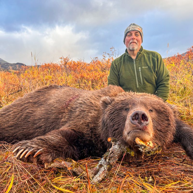 Michael Diehl Brown Bear