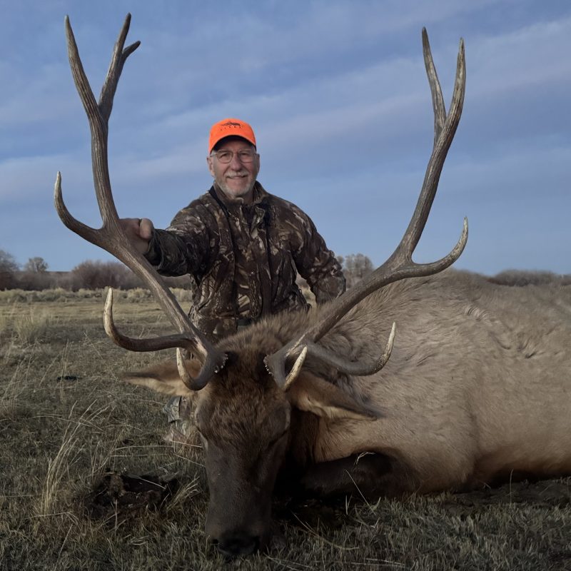 Michael Vint Big Piney Elk