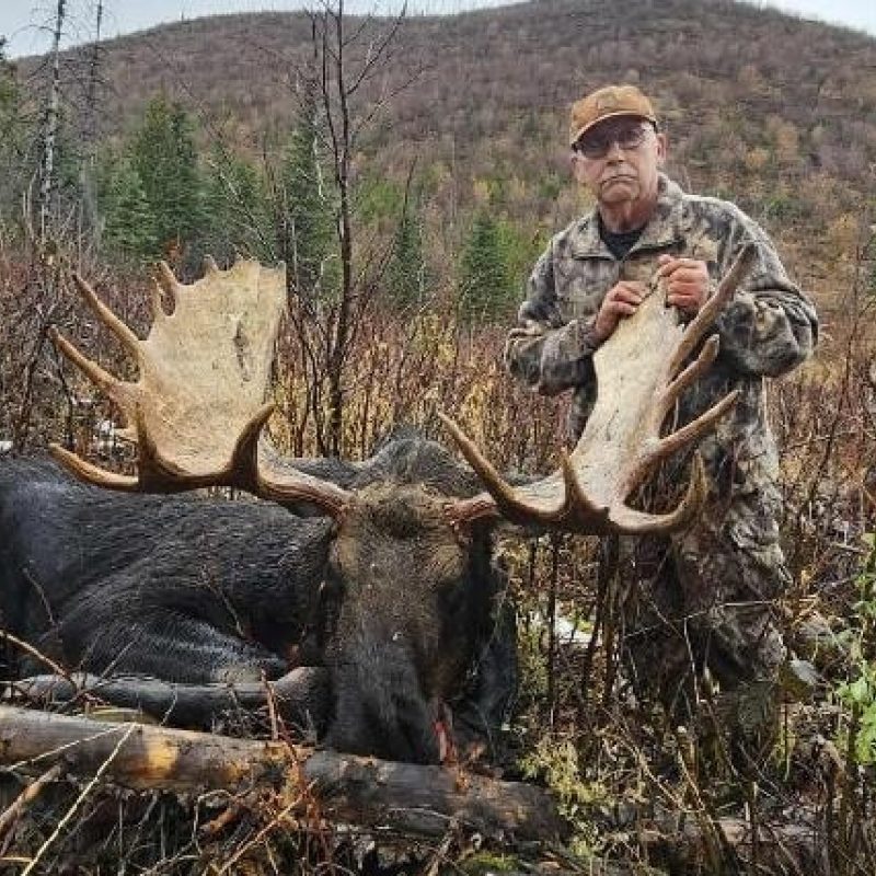 Neil Hornbaker Moose