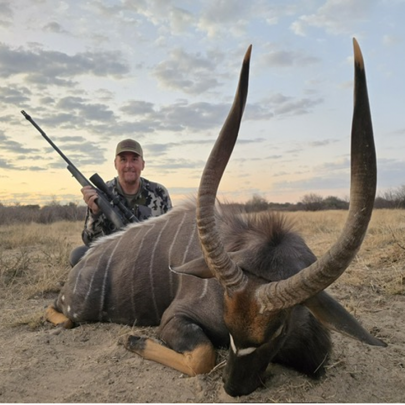 Nyala