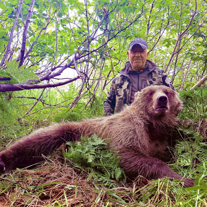 Odilio Angeli Grizzly
