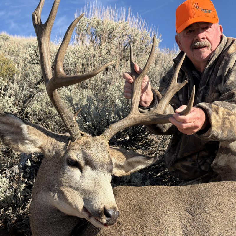 Region G 2026 Mule Deer 2