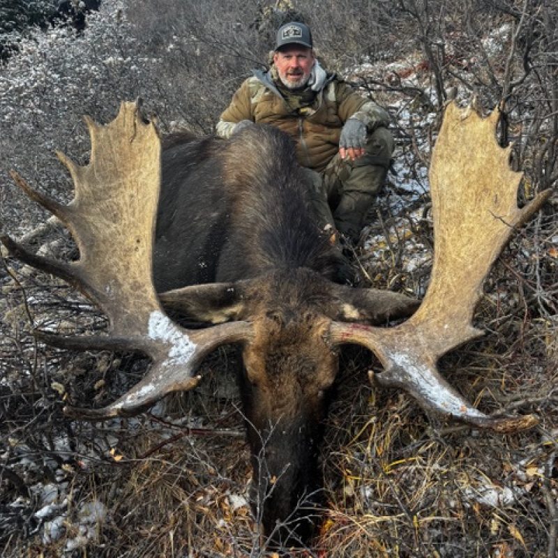 Scott Sandlin moose 2