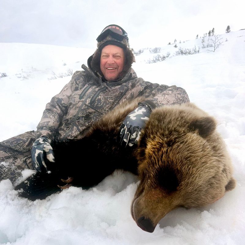 Scott bear