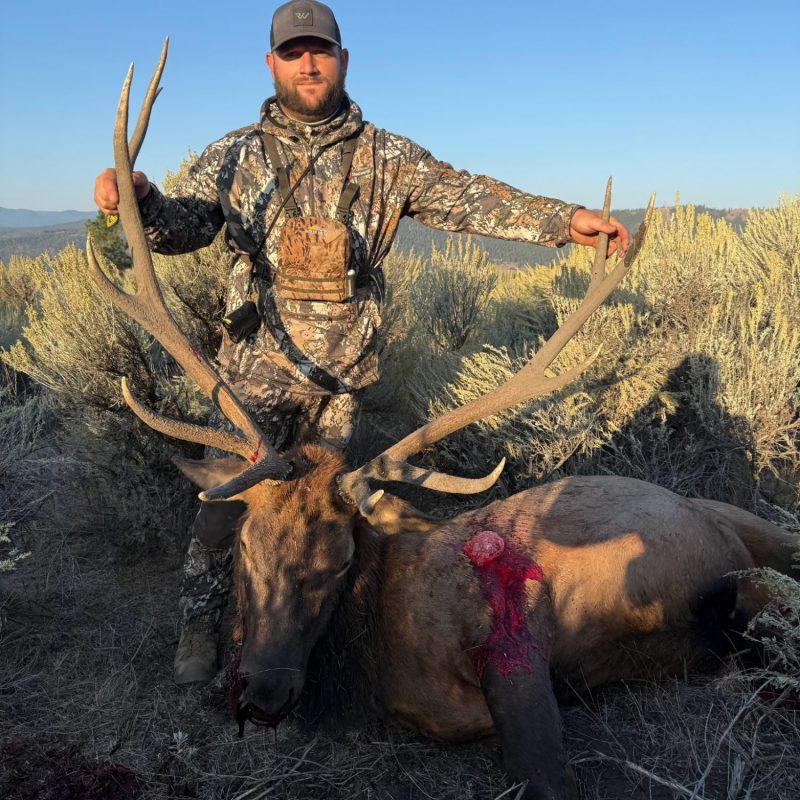Seth Lamado Archery Elk