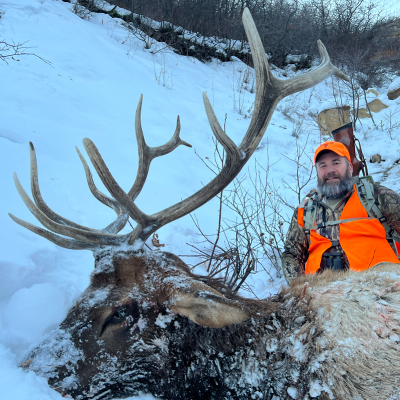 Wheeler 4th Season Elk