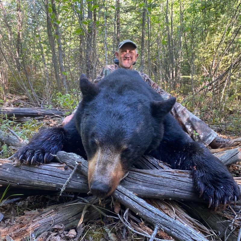 A78a9211 fd16 4f68 88ba 218f25bd288a