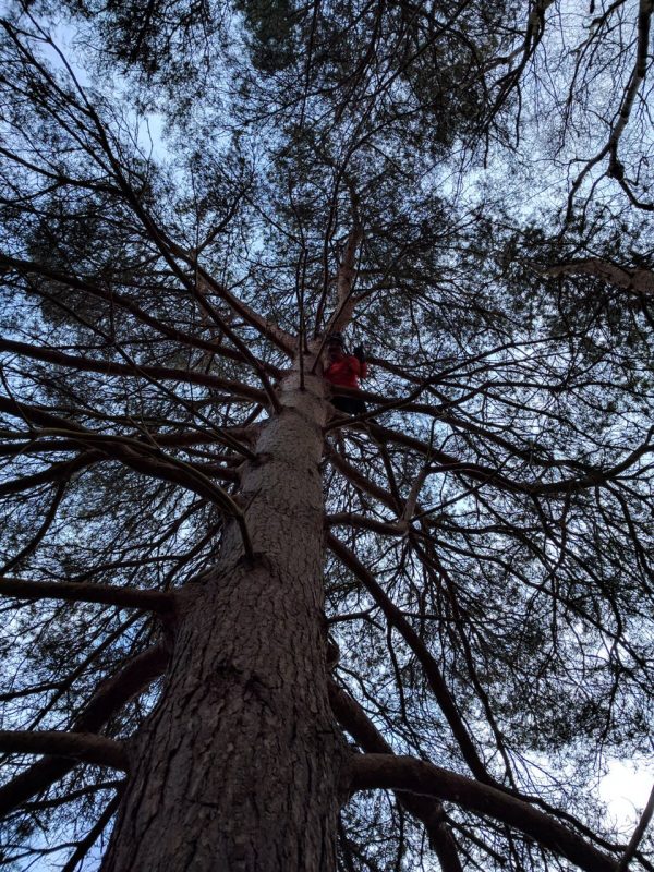 friday-adventure
