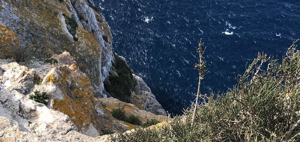 cycling holiday in mallorca