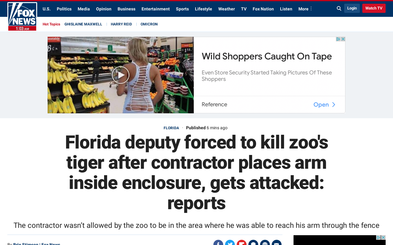 Screenshot of foxnews.com page.