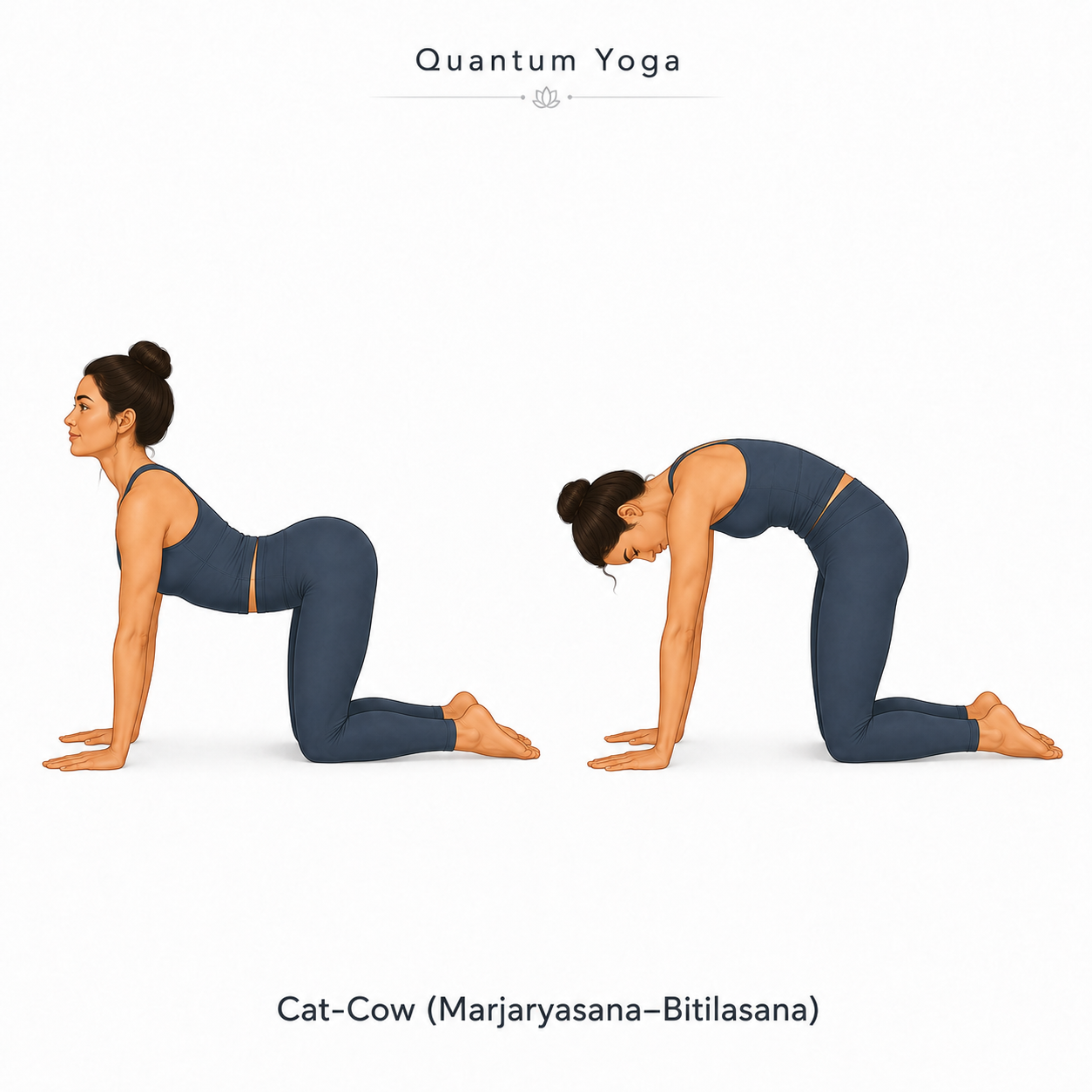 Cat-Cow Pose pose