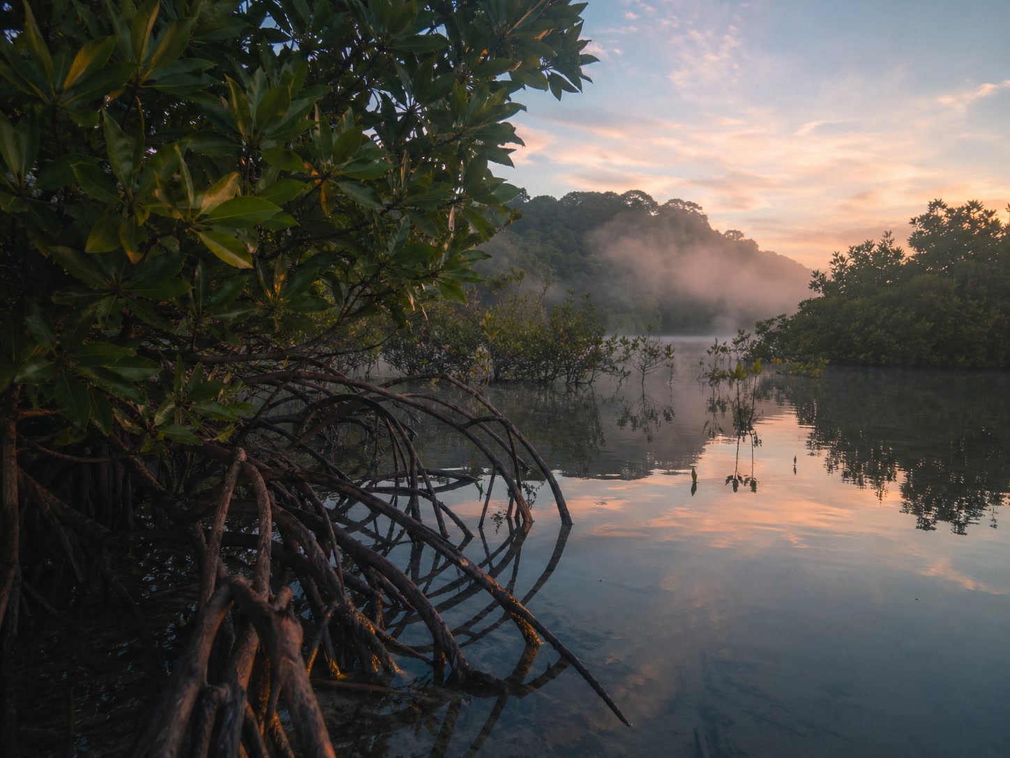 Landscape on the osa peninsula