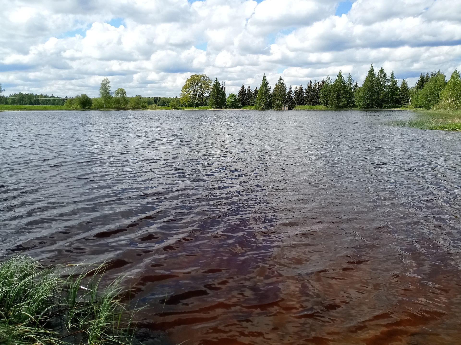 Otiaru paisjärv ujumiskoht
