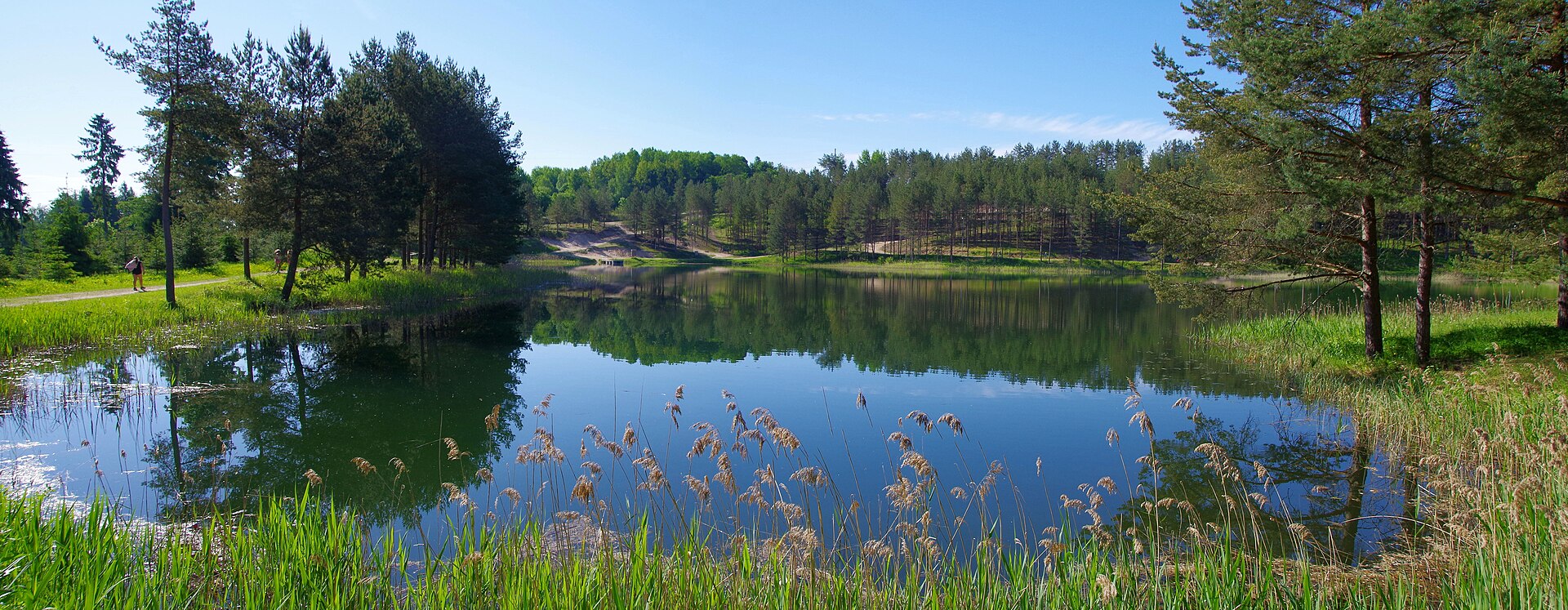 Palalinna järv ujumiskoht