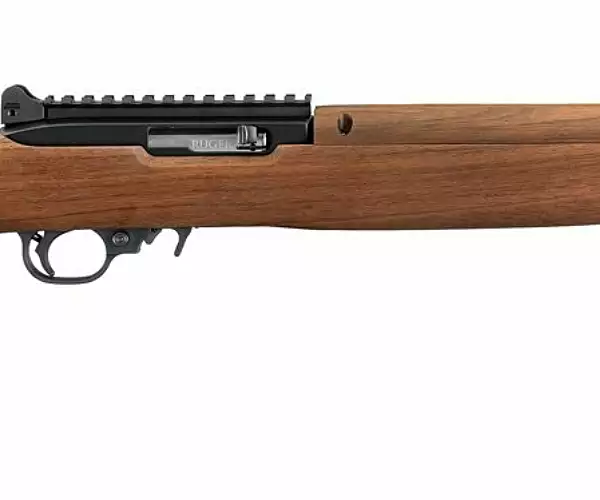 Ruger Ruger 10/22 M1 Stock TALO special edition rifles