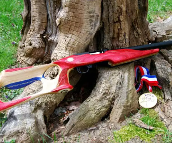 Ruger Usa Shooting Team-1022 TALO special edition rifles