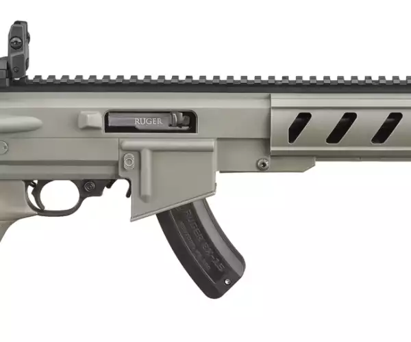 Ruger Ruger 10/22 Tactical ATI AR-22 Grey TALO special edition rifles