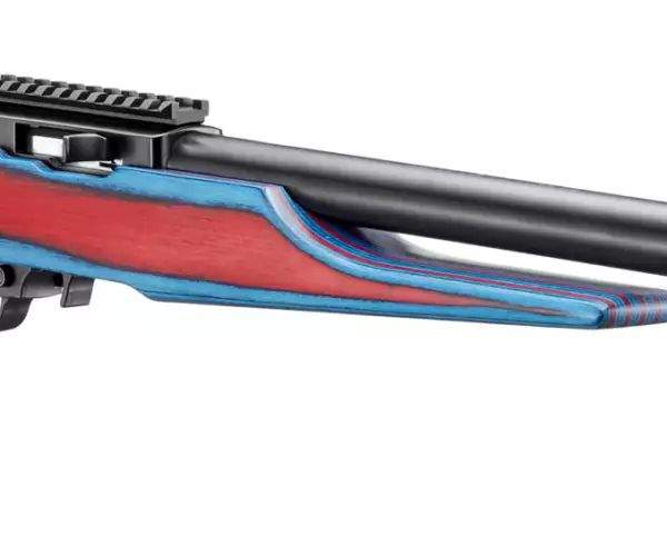 Ruger Ruger 10/22 USA Shooting 2024 TALO special edition rifles