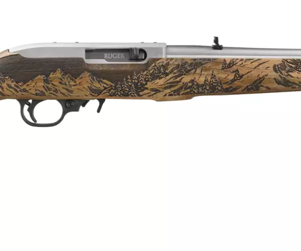 Ruger Ruger 10/22 Mule Deer Foundation Stainless TALO special edition rifles