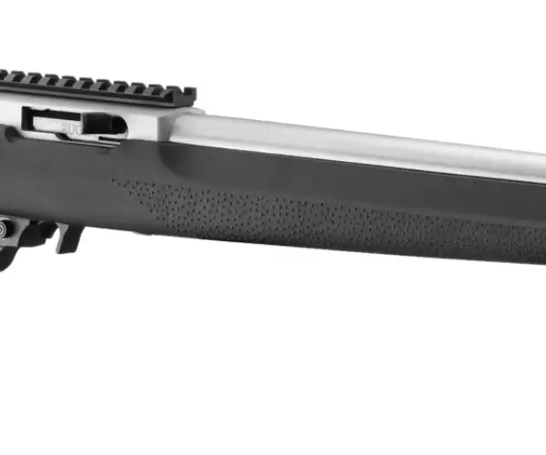 Ruger Ruger 10/22 LVT Hogue SS TALO special edition rifles