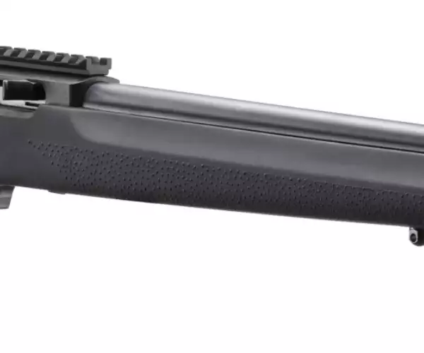Ruger Ruger 10/22 Hogue LVT Blued TALO special edition rifles