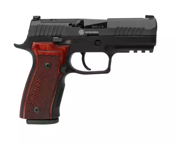SIG Sauer Sig Sauer P320 AXG Classic Limited Edition TALO special edition pistols
