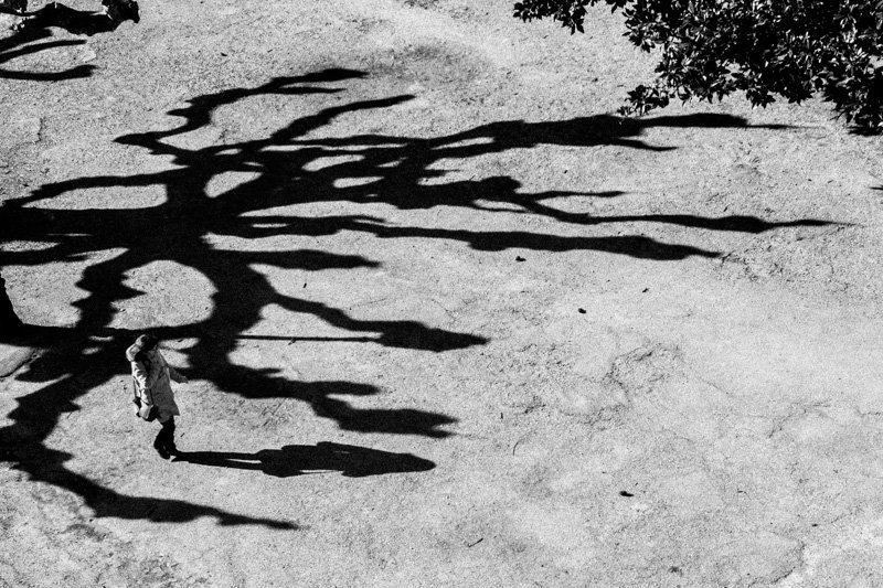 ©Yuri Rasin