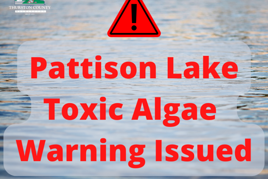 warning notice for toxic algae at lake Pattison in Thurston County, Washington