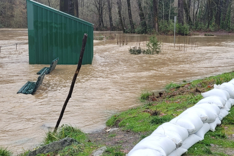image of a small shed with flood waters more than half-way up to it's roof