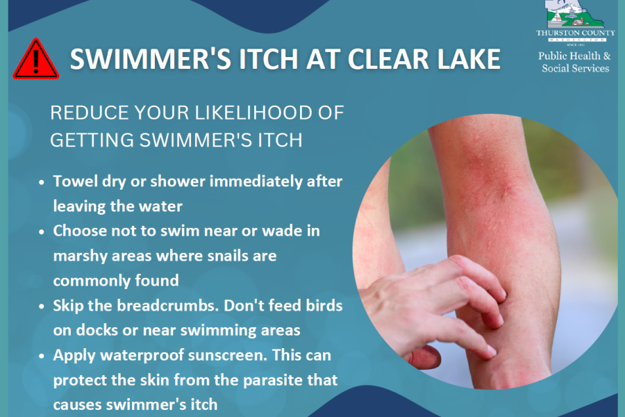 flyer warning that swimmers itch was reporter at clear lake in thurston county. white text on blue background with inset photo of a man scratching his arm.