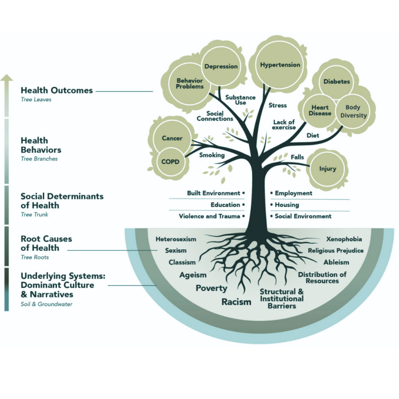 health equitree