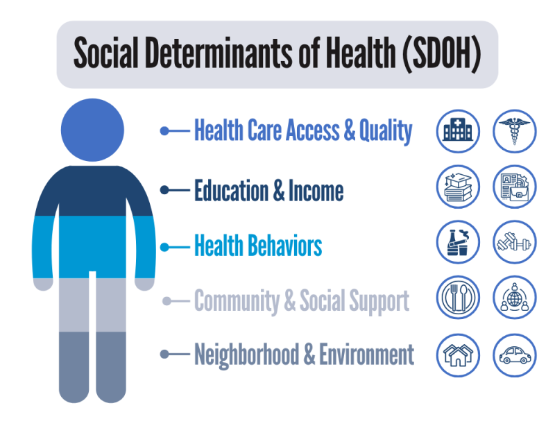 Social Determinants of Health (SDOH) Graphic